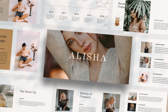 Alisha: A Unique Presentation Template for Polished Projects